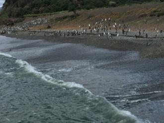 Passeio em Ushuaia. 