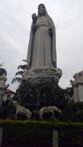 Aparecida
