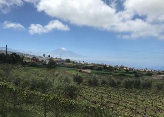 Em Santa Cruz do Tenerife.
