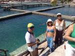 Em X-Caret, Harri, Sirlene e Vanda veno os Golfinhos.