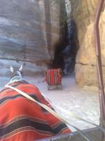 Início do passeio pelo Desfiladeiro de Petra.