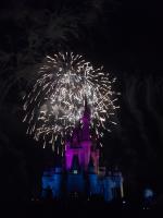 Magic Kingdom a noite.