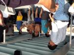 Derva num momento Dancing a bordo do Acarey.