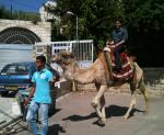 Pe. Rudinei e o camelo em Betanea.