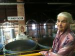 Acompanhando o processo de fabricação da Tequila.