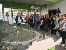 Na visita ao Santuário de N. Sra. de Lourdes