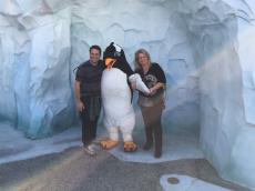 Visitando os pinguins!