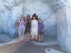 Visitando os pinguins!