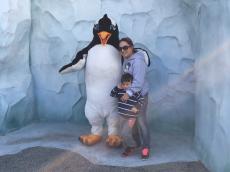 Visitando os pinguins!