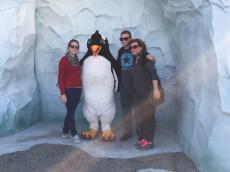 Visitando os pinguins!