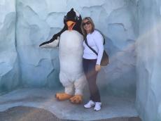 Visitando os pinguins!