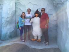 Visitando os pinguins!