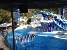No Sea World.
