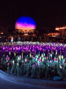 A noite tudo fica diferente no Epcot Center.