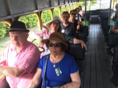 Passeando de 