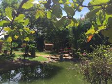 No Jardim Japonês em Caldas Novas. 