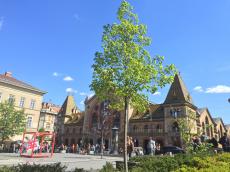 Mercado municipal de Budapeste. 