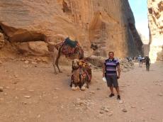 Nos desfiladeiros de Petra.