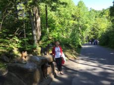 No passeio por Quebec