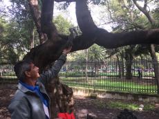 No Castelo de Chapultepec, na Cidade do México