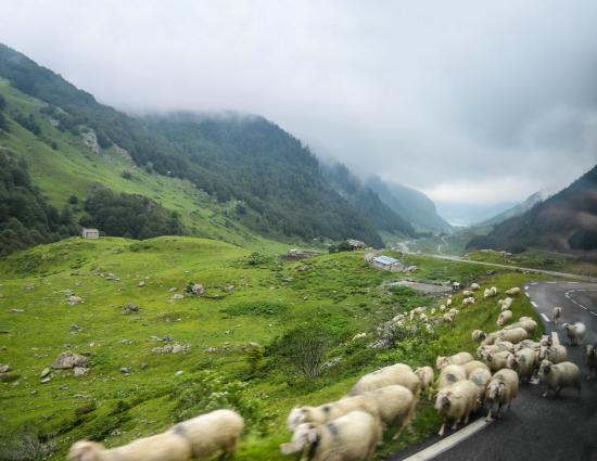 Espanha - MONTES PIRINEUS