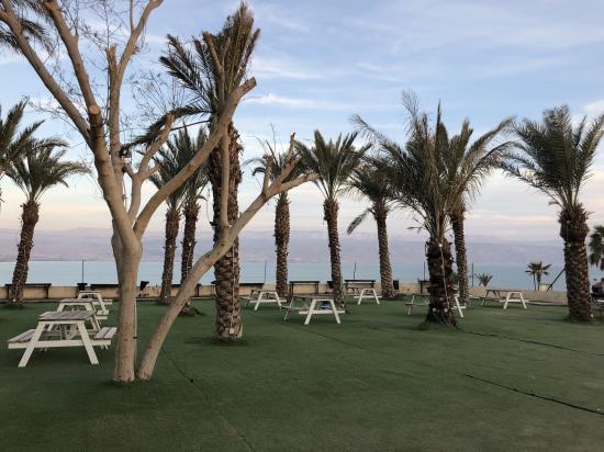 T. Sta – MAR MORTO